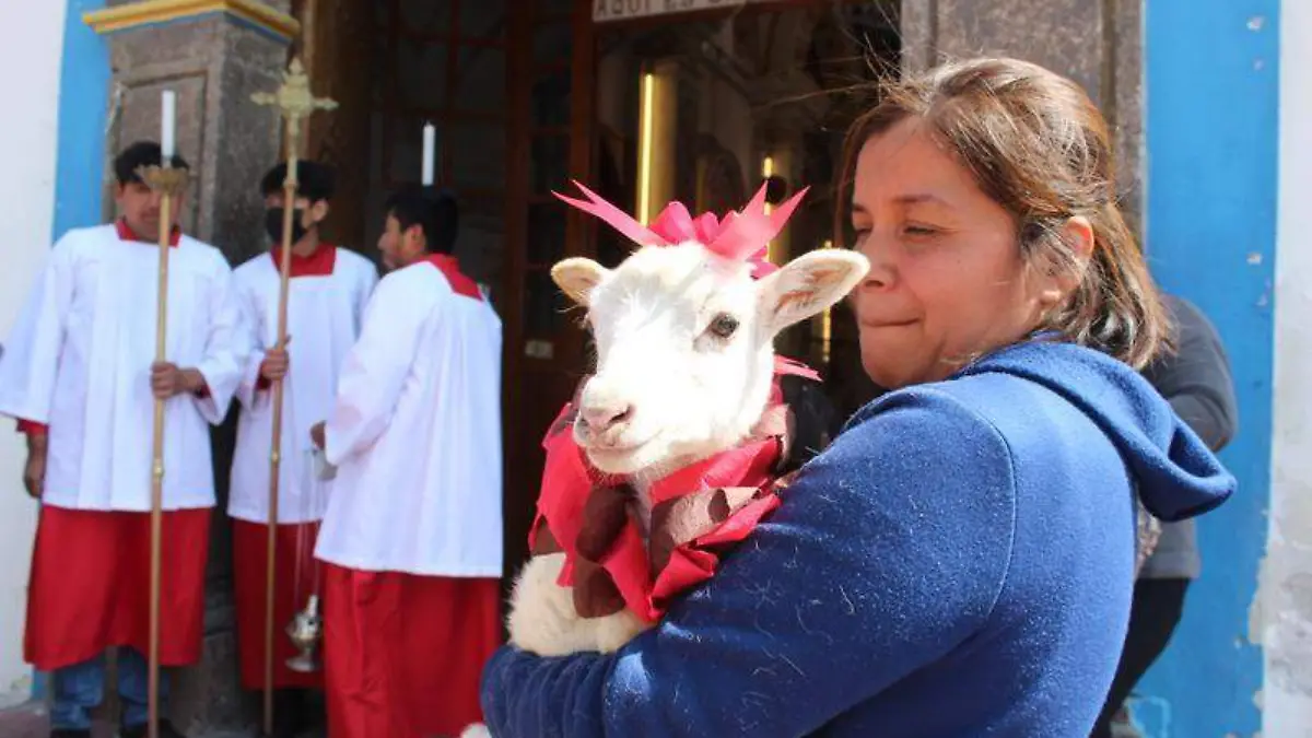 Bendición de animales (2)